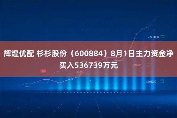 辉煌优配 杉杉股份(600884)8月1日主力资金净买入536739万元